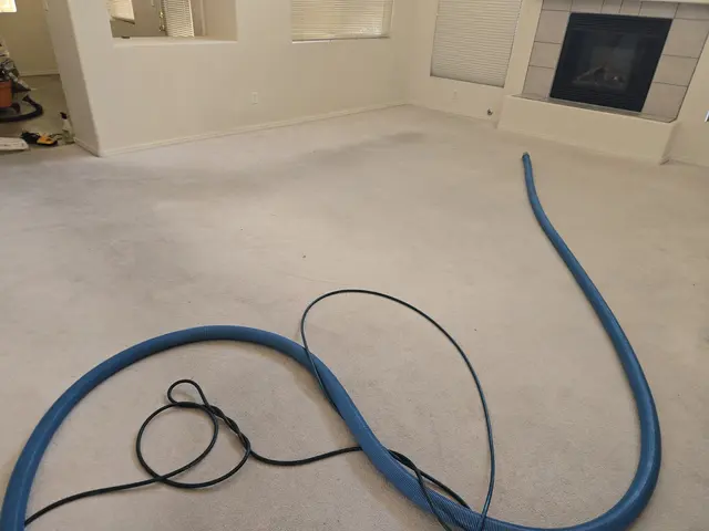 KD Carpet Cleaning — photo from the business 5