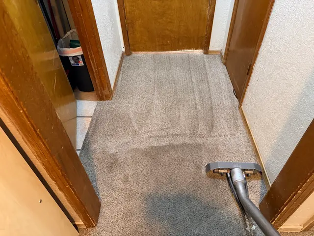 KD Carpet Cleaning — photo from the business 9