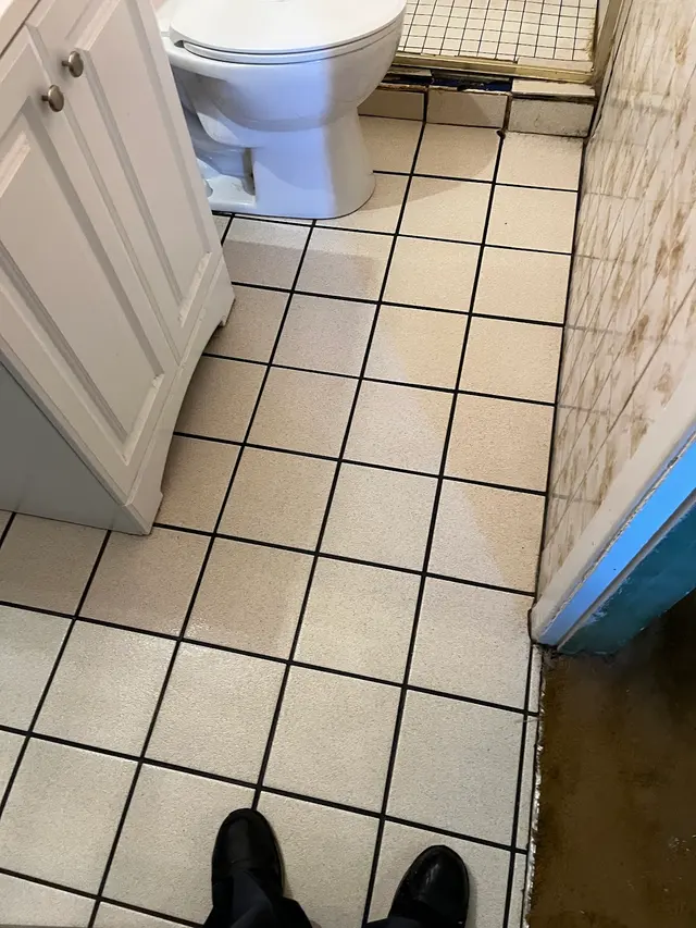 Dirt Doctor Carpet Cleaning — photo from the business 7