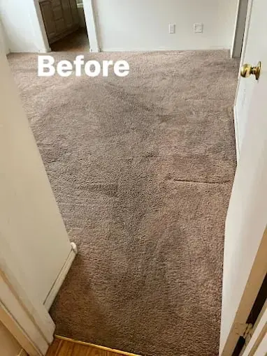 Dirt Doctor Carpet Cleaning — photo from the business 2