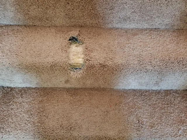 New Mexico Carpet Repair and Cleaning — photo from the business 9