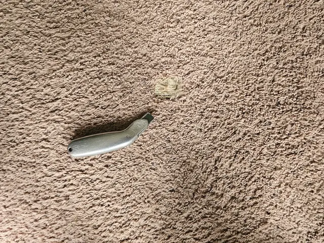 New Mexico Carpet Repair and Cleaning — photo from the business 11