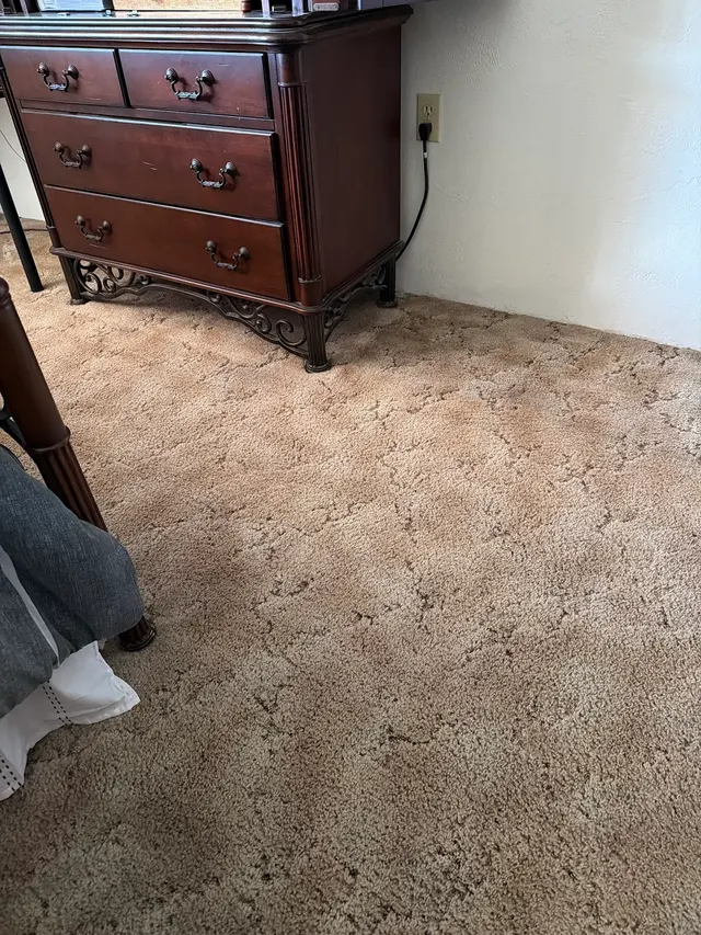 New Mexico Carpet Repair and Cleaning — customer photo 1