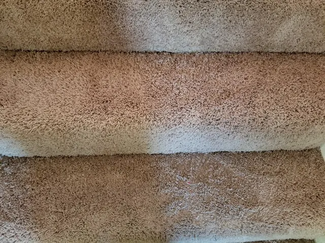New Mexico Carpet Repair and Cleaning — photo from the business 12