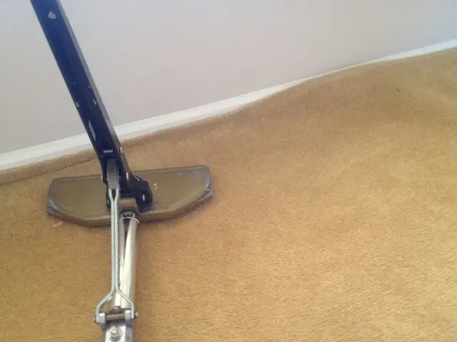 New Mexico Carpet Repair and Cleaning — photo from the business 5