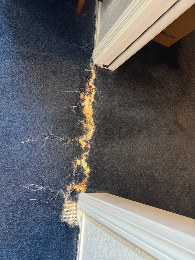 New Mexico Carpet Repair and Cleaning — customer photo 3