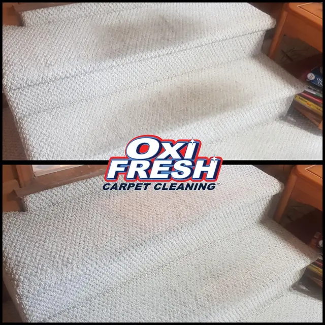 Oxi Fresh Carpet Cleaning — photo from the business 12