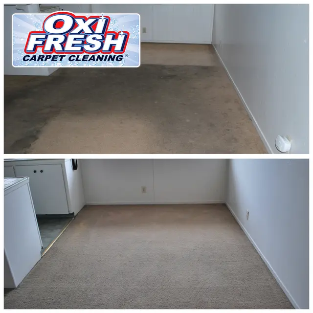 Oxi Fresh Carpet Cleaning — photo from the business 10