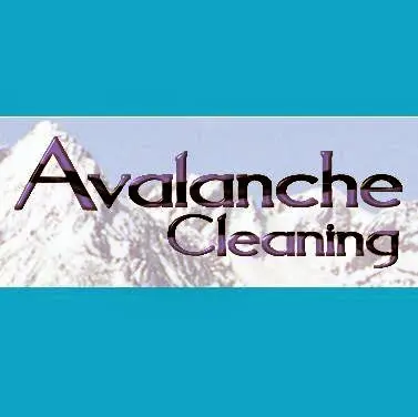 Avalanche Carpet and Tile Cleaning LLC — photo from the business 4