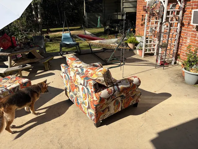 Stanley Steemer — customer photo 11