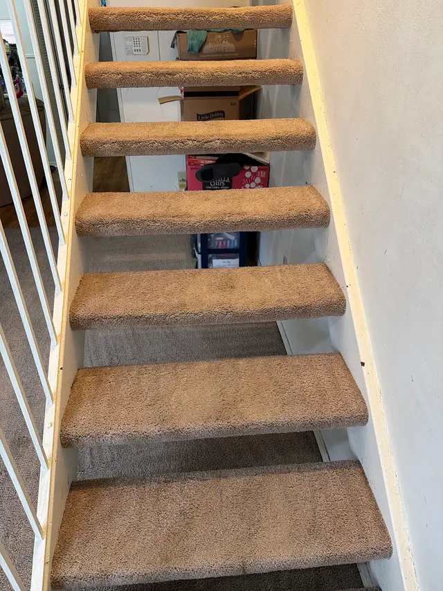 Stanley Steemer — customer photo 6