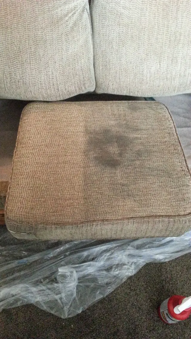 D&G Carpet Cleaning — photo from the business 12