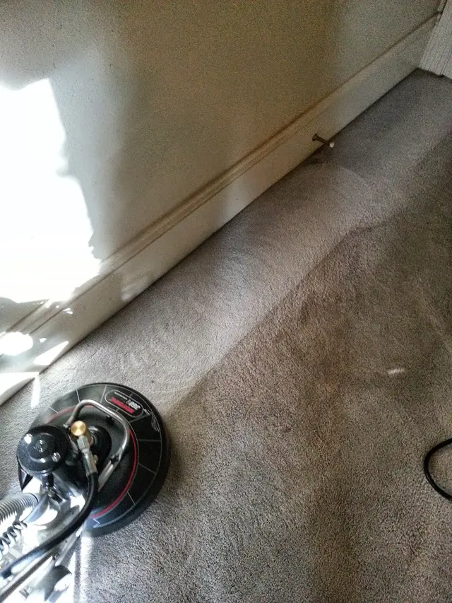 D&G Carpet Cleaning — photo from the business 2