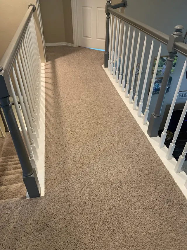 D&G Carpet Cleaning — customer photo 3