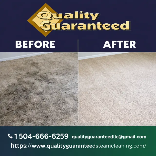 Quality Guaranteed Steam Cleaning LLC — photo from the business 3