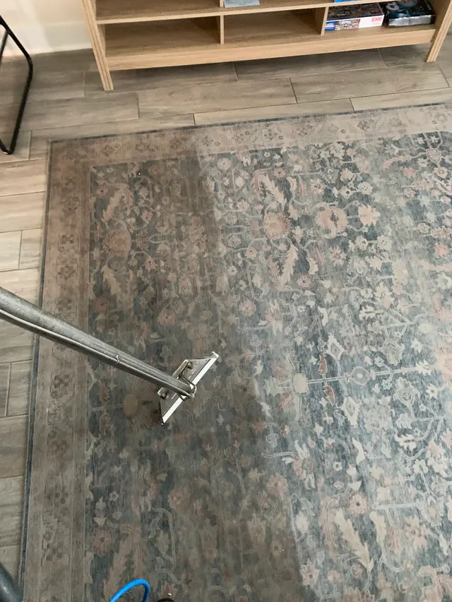 Quality Guaranteed Steam Cleaning LLC — customer photo 9
