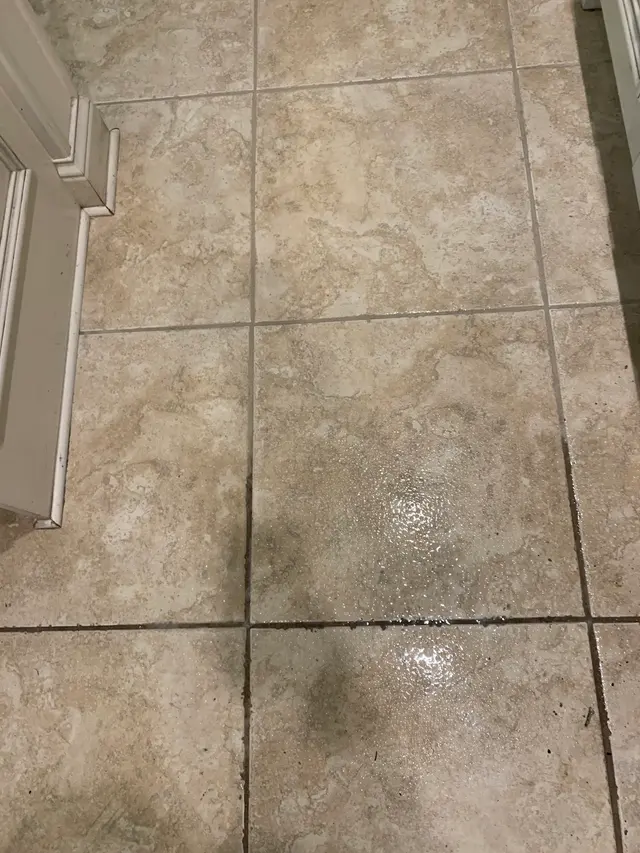 Quality Guaranteed Steam Cleaning LLC — customer photo 7