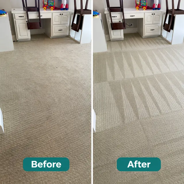 Quality Guaranteed Steam Cleaning LLC — photo from the business 2