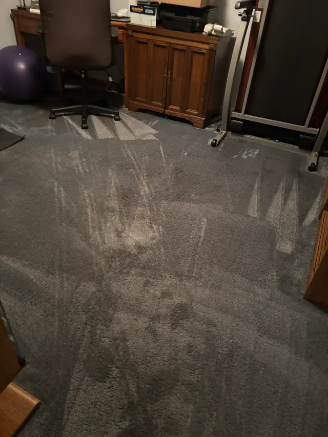 Oxi Fresh Carpet Cleaning — customer photo 10