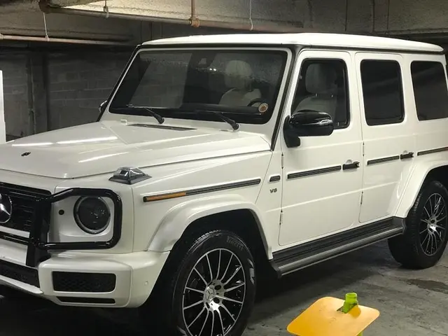 Shameez Car Detailing New Orleans — photo from the business 6