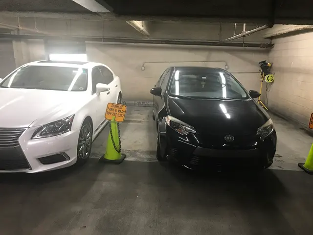 Shameez Car Detailing New Orleans — photo from the business 11