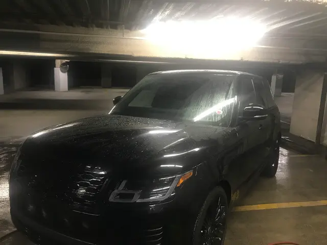 Shameez Car Detailing New Orleans — photo from the business 7