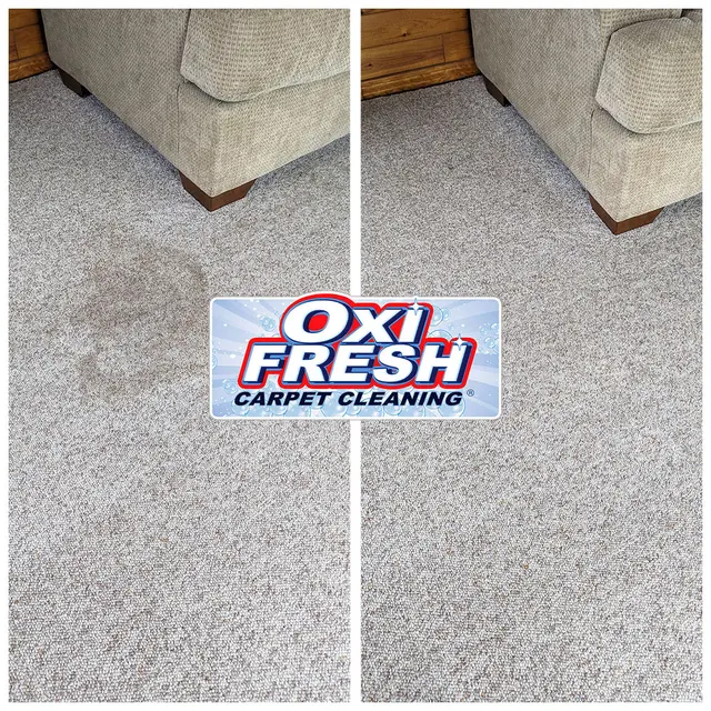 Oxi Fresh Carpet Cleaning — photo from the business 9