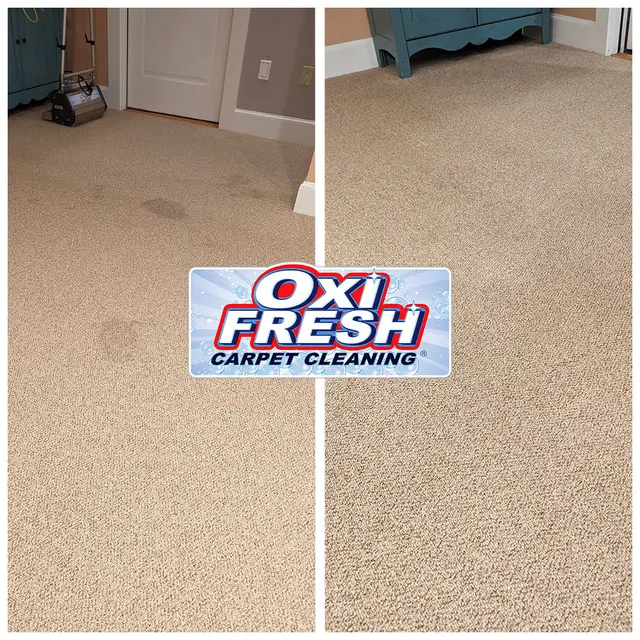 Oxi Fresh Carpet Cleaning — photo from the business 5