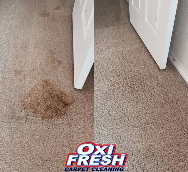 Oxi Fresh Carpet Cleaning — photo from the business 12