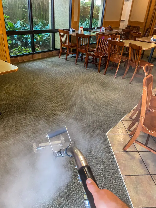 EcoPro Steamers Carpet and Upholstery Cleaning — photo from the business 2