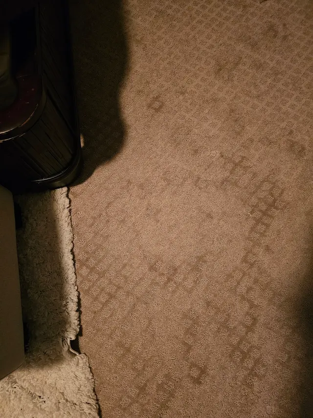 EcoPro Steamers Carpet and Upholstery Cleaning — customer photo 10