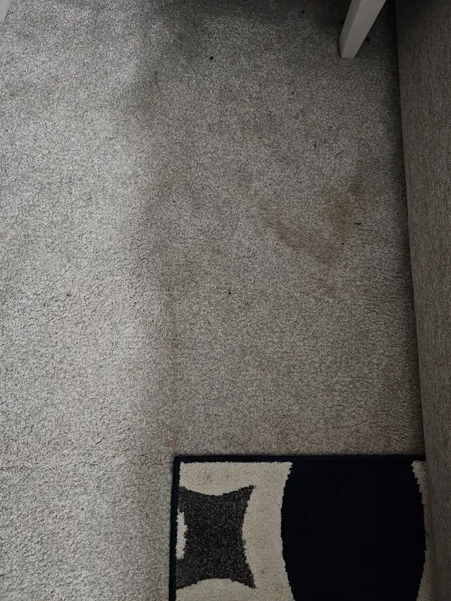 EcoPro Steamers Carpet and Upholstery Cleaning — customer photo 9