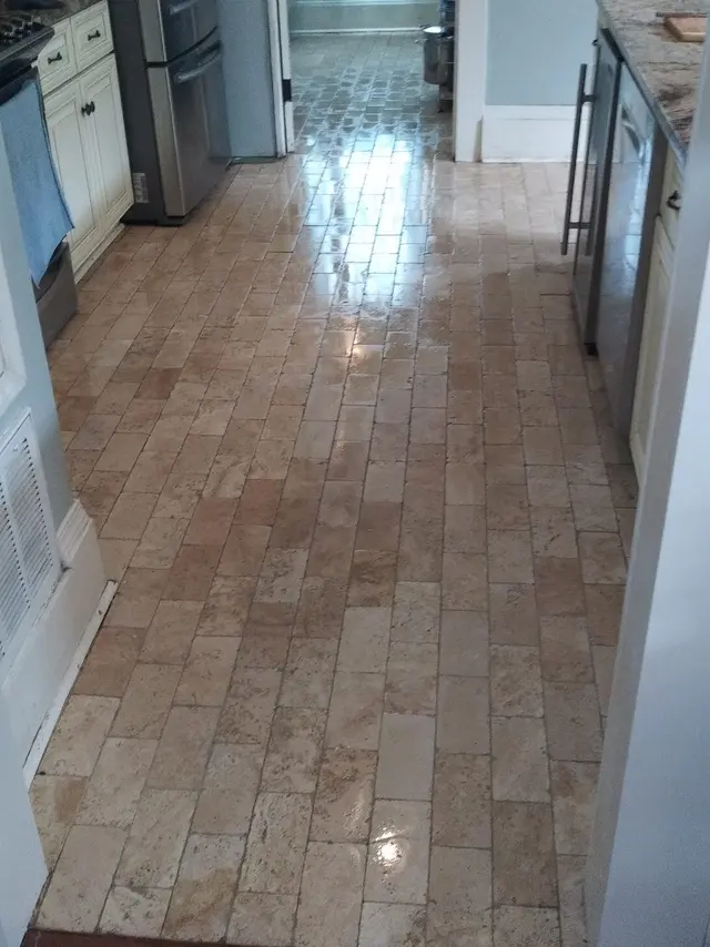 EcoPro Steamers Carpet and Upholstery Cleaning — photo from the business 11