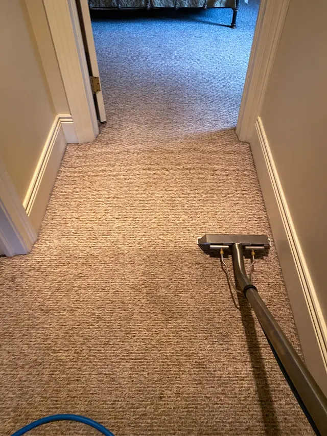 EcoPro Steamers Carpet and Upholstery Cleaning — photo from the business 4