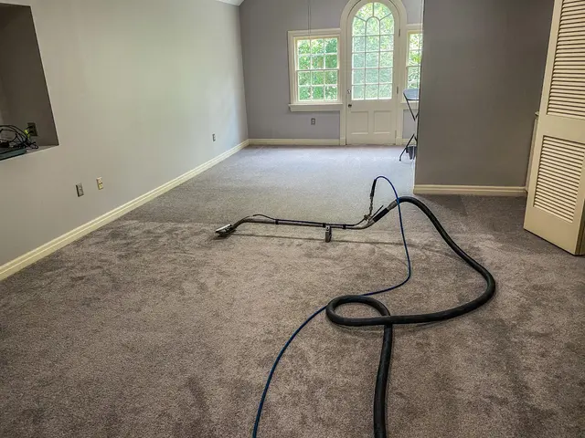 EcoPro Steamers Carpet and Upholstery Cleaning — photo from the business 3