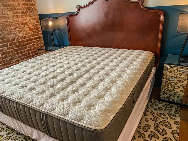 EcoPro Steamers Carpet and Upholstery Cleaning — photo from the business 5