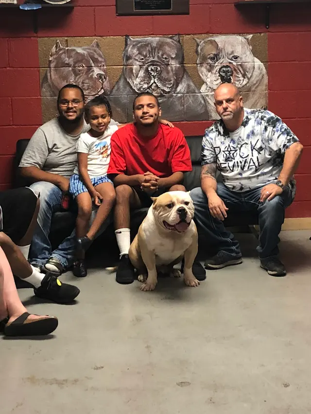 Bully's Unlimited — photo from the business 6