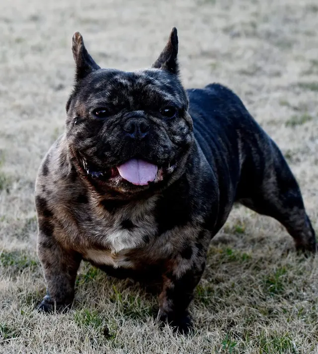 Bully's Unlimited — photo from the business 12