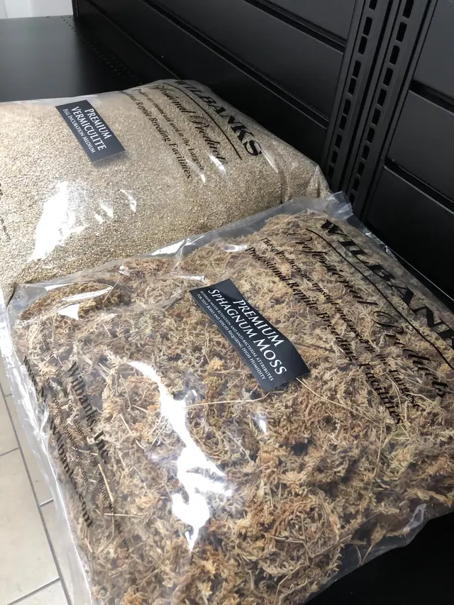 Wilbanks Captive Bred Reptiles — photo from the business 5