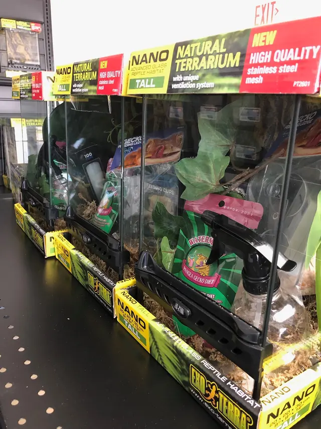 Wilbanks Captive Bred Reptiles — photo from the business 2
