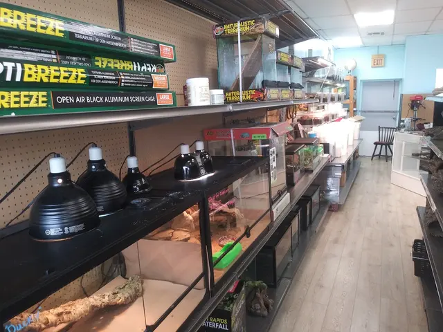 Anything For A Bug LLC Pet Shop — customer photo 2