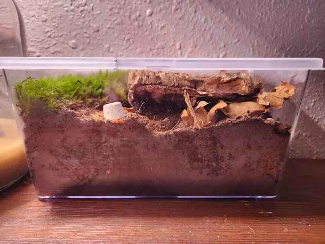 Anything For A Bug LLC Pet Shop — customer photo 12
