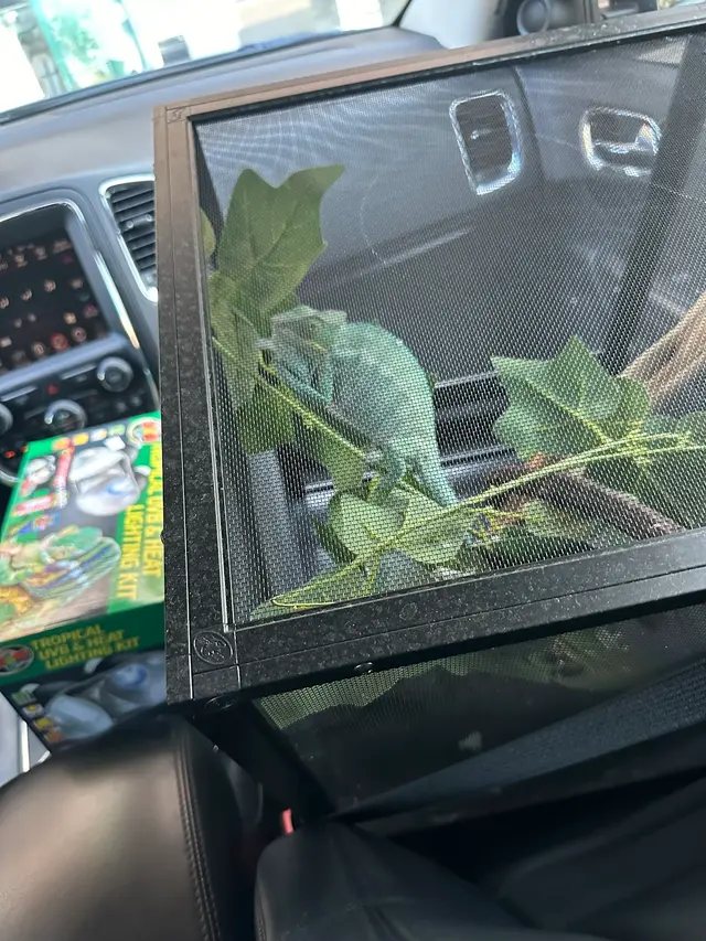 Anything For A Bug LLC Pet Shop — customer photo 7