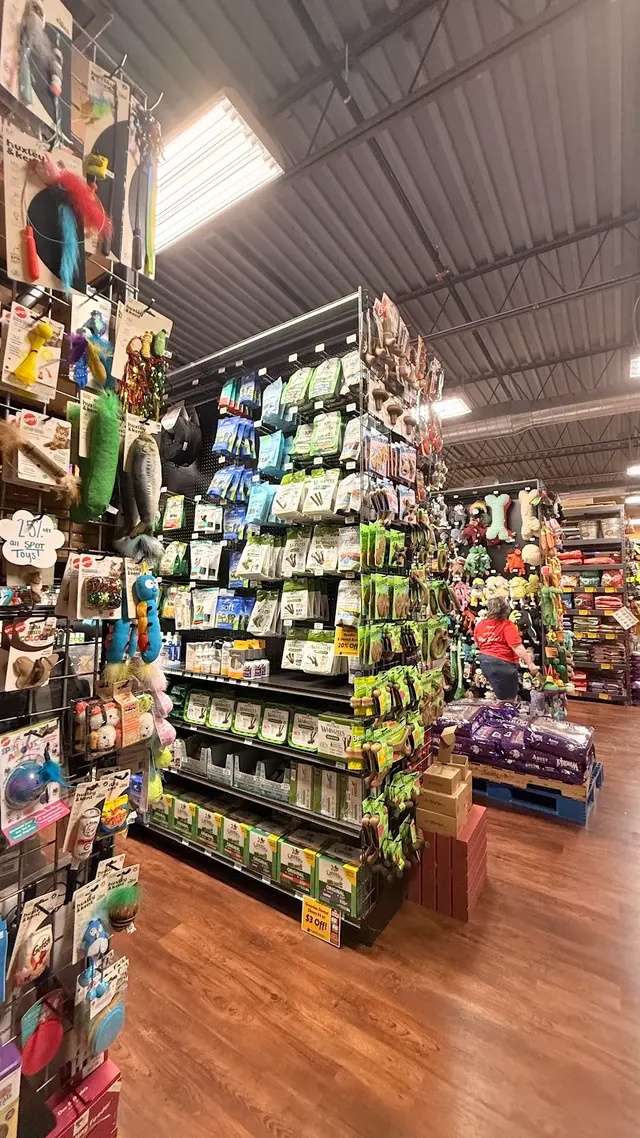 Hollywood Feed — customer photo 2
