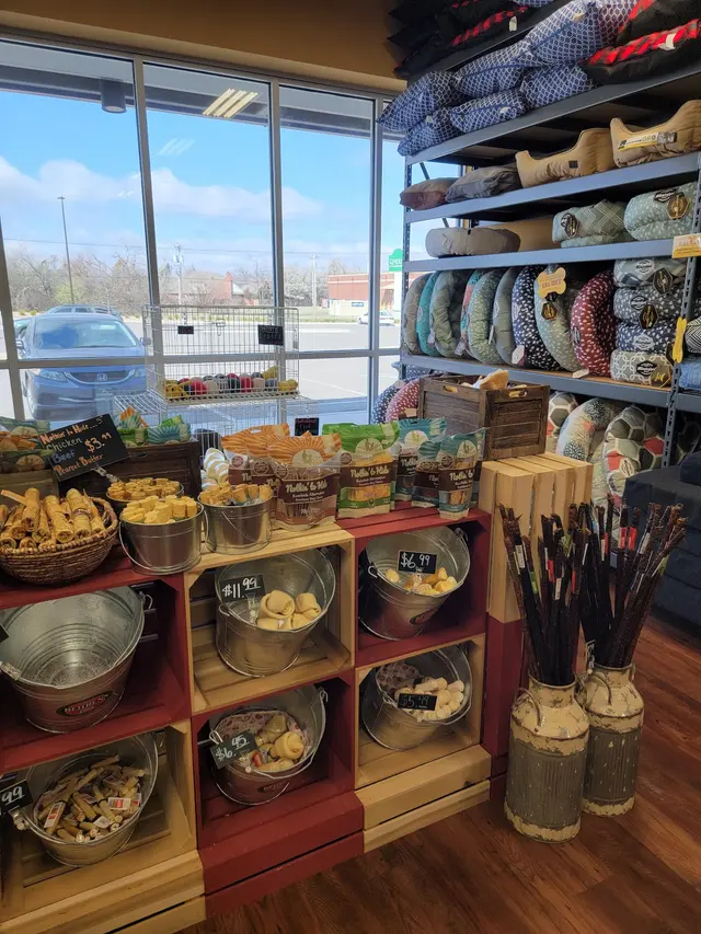Hollywood Feed — customer photo 4