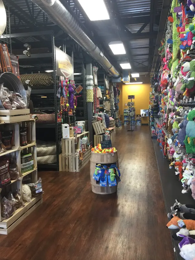 Hollywood Feed — customer photo 7