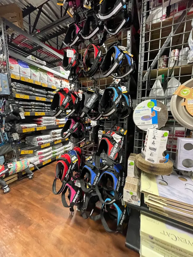 Hollywood Feed — customer photo 11