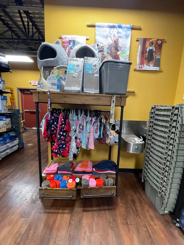 Hollywood Feed — customer photo 9