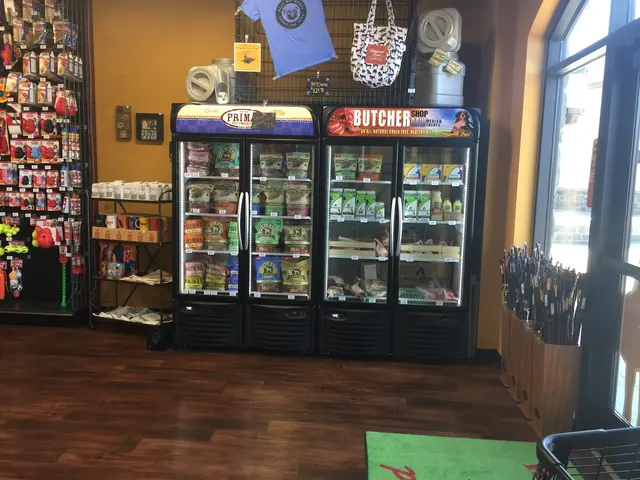 Hollywood Feed — customer photo 12