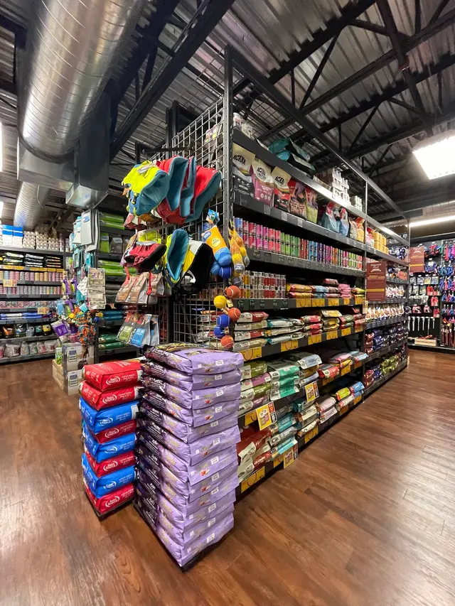 Hollywood Feed — customer photo 3